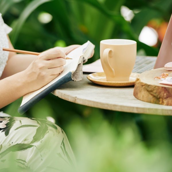 Brand creator writing business plan